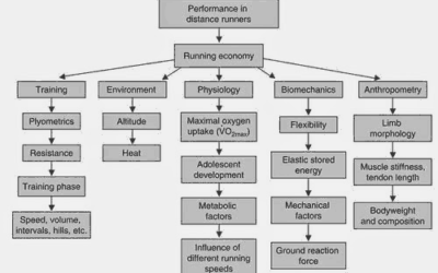 De la verticalité à l’horizontalité : mieux comprendre l’oscillation verticale en course d’endurance