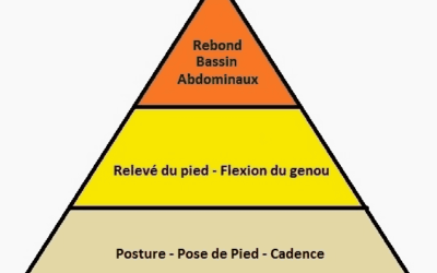 Quelques conseils pour bien poser sa foulée LFR