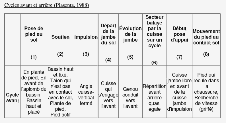 cycle avant cycle arriere 1