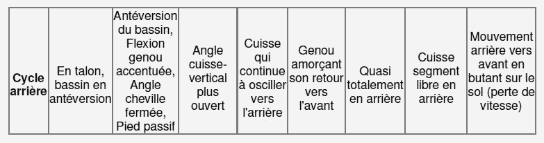 cycle avant cycle arriere 2