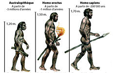 Course à pieds et évolution