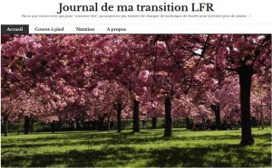 le journal de la transition de Lætitia