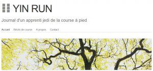 Le journal de la transition de Yin Run